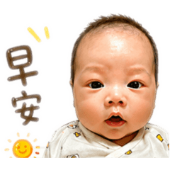 銳寶寶表情包