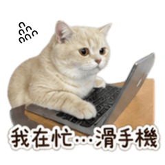 Rubi璐比之不用工作