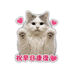 品家麥