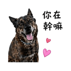 饅頭の生活日記1