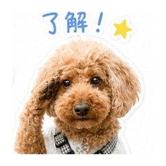 SHINICHI_20260515061934