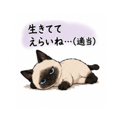 yayamanmaru_20260515055328