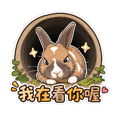 Q版弟弟