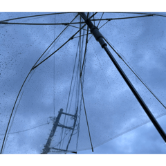 ao_20260515064355