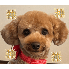 taiki_20260515063131