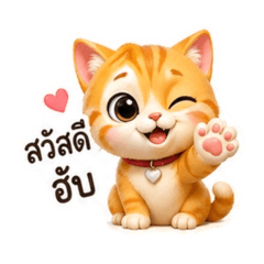 Orange cats are used in daily life 1