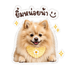 Pompomaoon