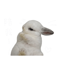 Lulu日常♡♡♡