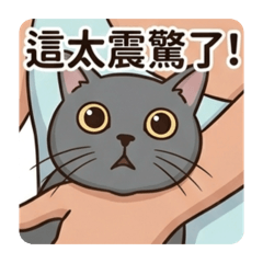 歐摸摸摸歐拉