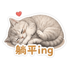 藍寶喵喵日常