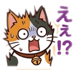 neko oyaji_20260504162401