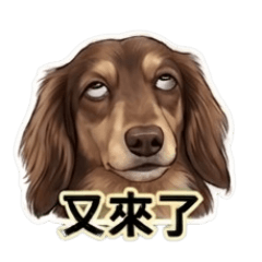 厭世大師:牛仔臘腸的內心戲