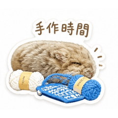 紀錄水餃攤的奶茶小店長萌樣
