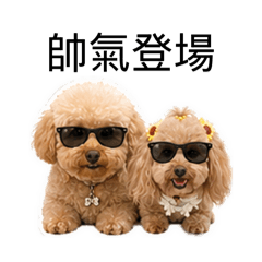 Lemon酸