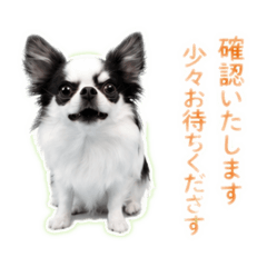 BABA_20260514203936