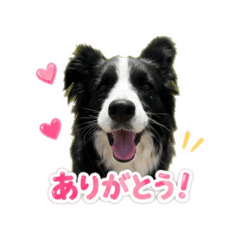 happy_20260514203452