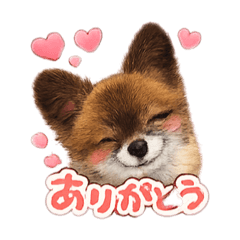 RINA_20260515075924