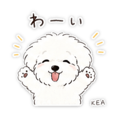 yuin_20260514203834