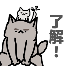 kanta_20260515075552