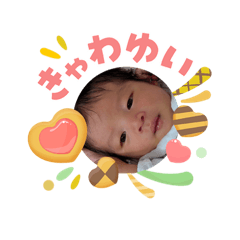 RIN_20260515075528