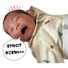 eri_20260515081011
