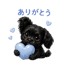 COO.days_20260515082621