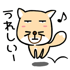 Fox,actually (Vulpes ferrilata)