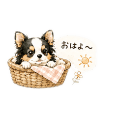 soramame_studio_20260514201626