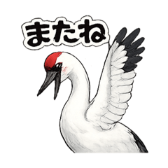 CHAO_20260515063231