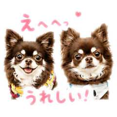 cocoamilk_20260515055131