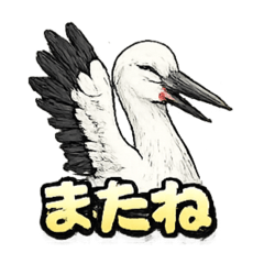 CHAO_20260515055748