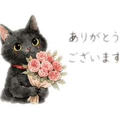 rinrin_20260515081803