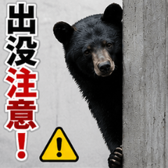 Be careful of bears