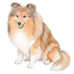 SHETLAND SHEEPDOG Totochan Smile Sticker