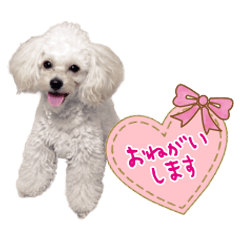 hana's Sticker@ringonohoppe