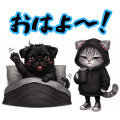 Pa-shi-to Nya-mi