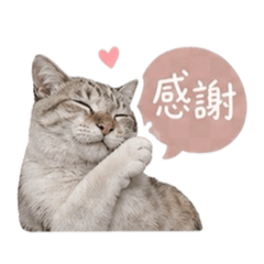 我是米仔