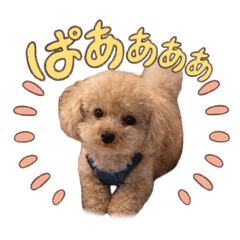 Masami_20260503212524