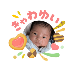 sanae_20260504163040