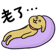 細長狗狗