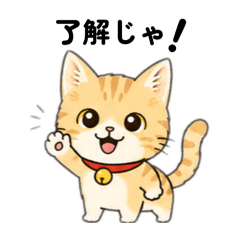 .coco_20260514211133