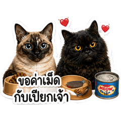 Papow&pepper