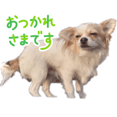karin_20260514214740