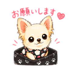 SYUICHI_20260514220641