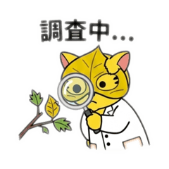 Maeyou_20260514220802