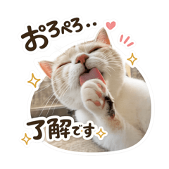 kinako_20260514221137