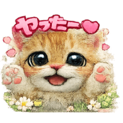 NEKOnyan_20260514220412