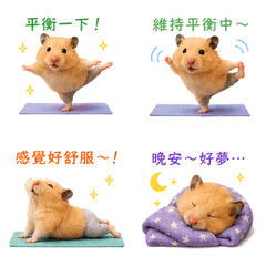 阿嚕瑜伽趣 身心都放鬆一下！