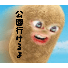 POPO502_20260514225715