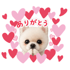 ふわふわライトマン